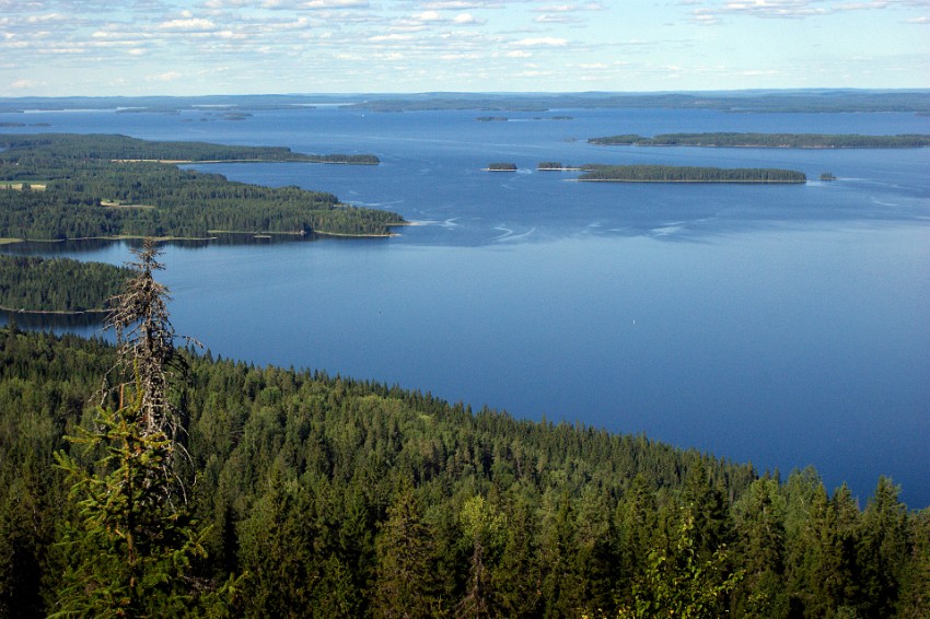 08 koli.jpg